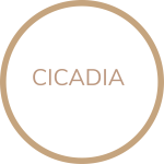 2025_CICADIA_PIKTOGRAMM